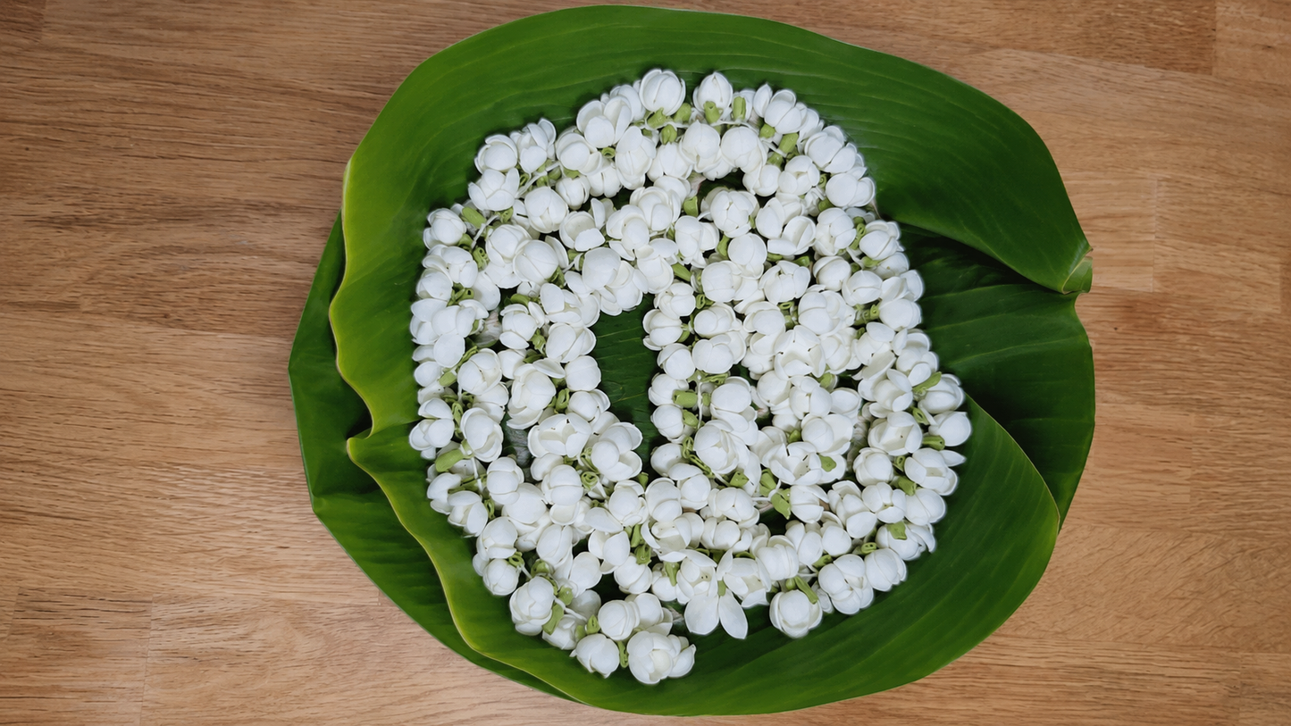 Premium Artificial jasmine string