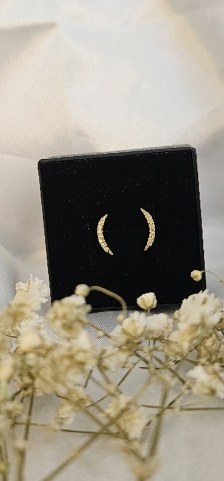 Celestial Arc Earrings | 24k Gold Plated Luxury/ second stud